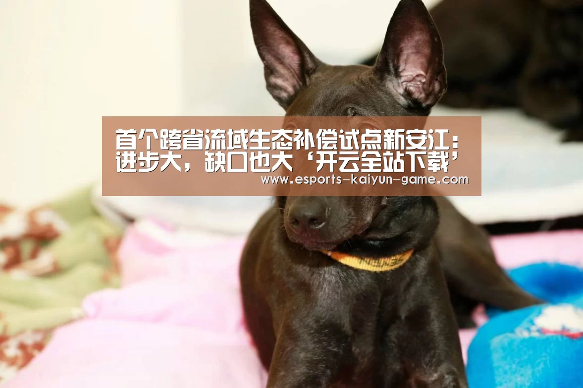 首个跨省流域生态补偿试点新安江:进步大,缺口也大‘开云全站下载’(图1) 开云电竞官网