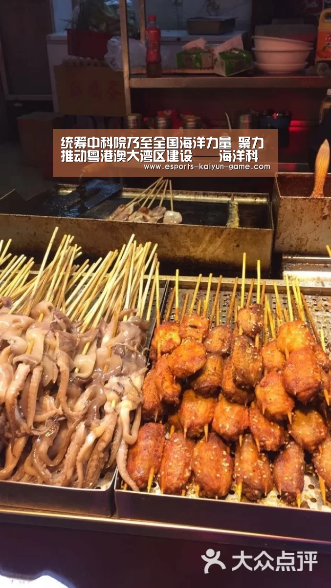 统筹中科院乃至全国海洋力量 聚力推动粤港澳大湾区建设——海洋科学与技术省实验室建设方案通过专家论证【开云电竞官网】(图4) 开云移动端