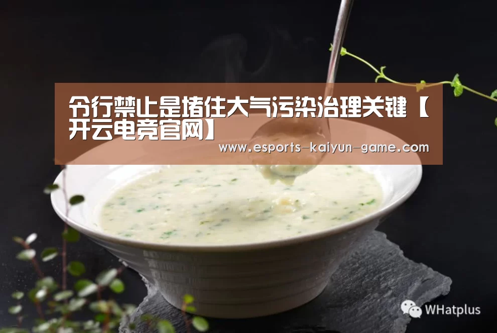 令行禁止是堵住大气污染治理关键【开云电竞官网】(图1) 开云移动端